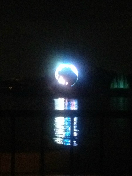IllumiNations Reflections of Earth
