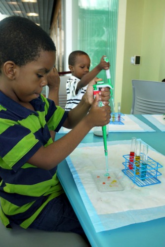 nature research center